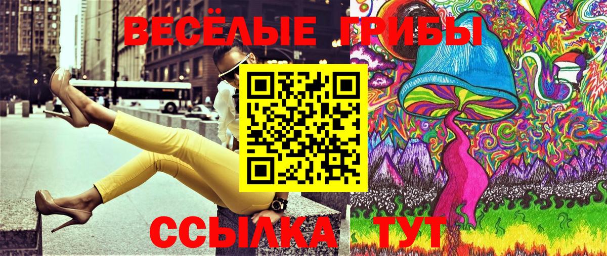 Галлюциногенные грибы MAGIC MUSHROOMS Вичуга